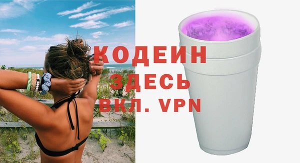 твердый Бородино