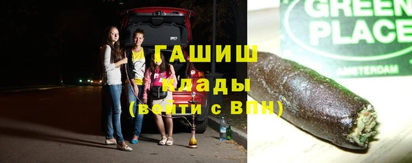 твердый Бородино