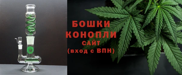 дживик Бронницы