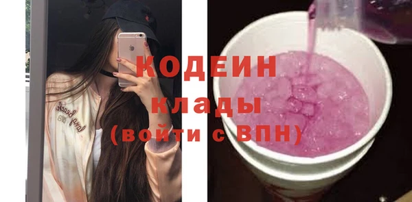 твердый Бородино