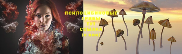 дживик Бронницы