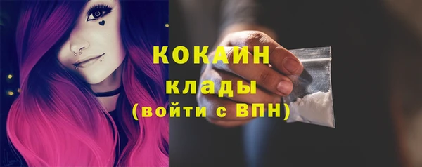 дживик Бронницы