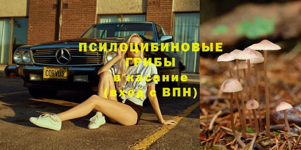 твердый Бородино