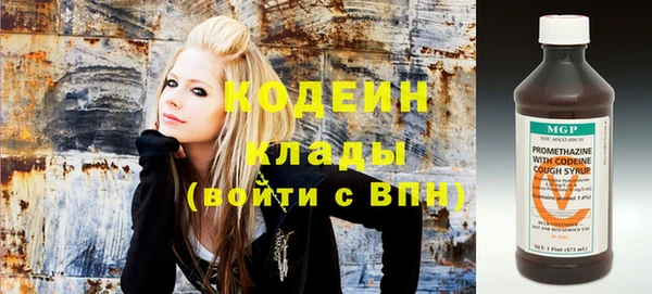 дживик Бронницы