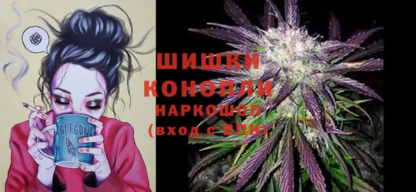 прущие грибы Богородск