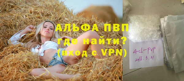 твердый Бородино