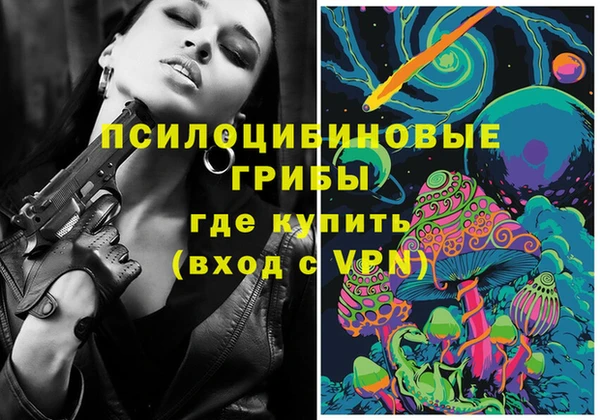 дживик Бронницы
