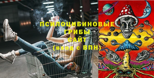 прущие грибы Богородск