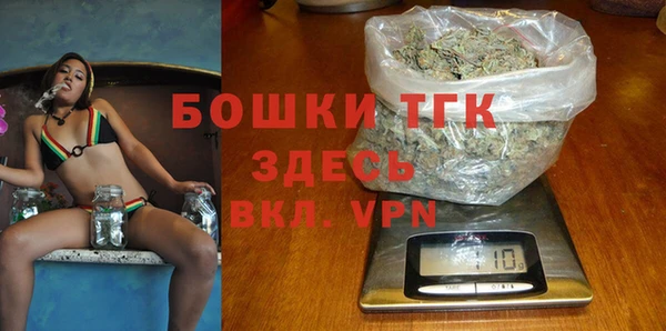 твердый Бородино