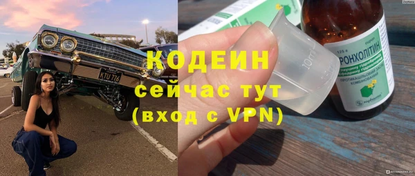 твердый Бородино