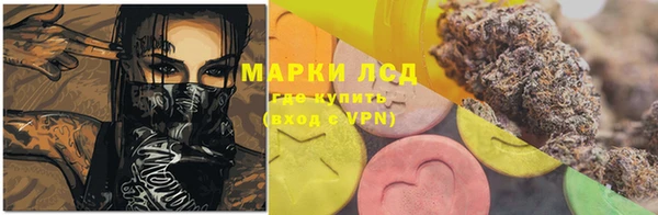 дживик Бронницы