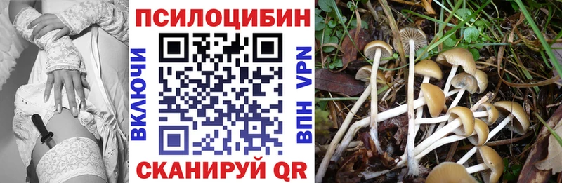 Купить закладки  Апатиты  Псилоцибиновые грибы GOLDEN TEACHER 